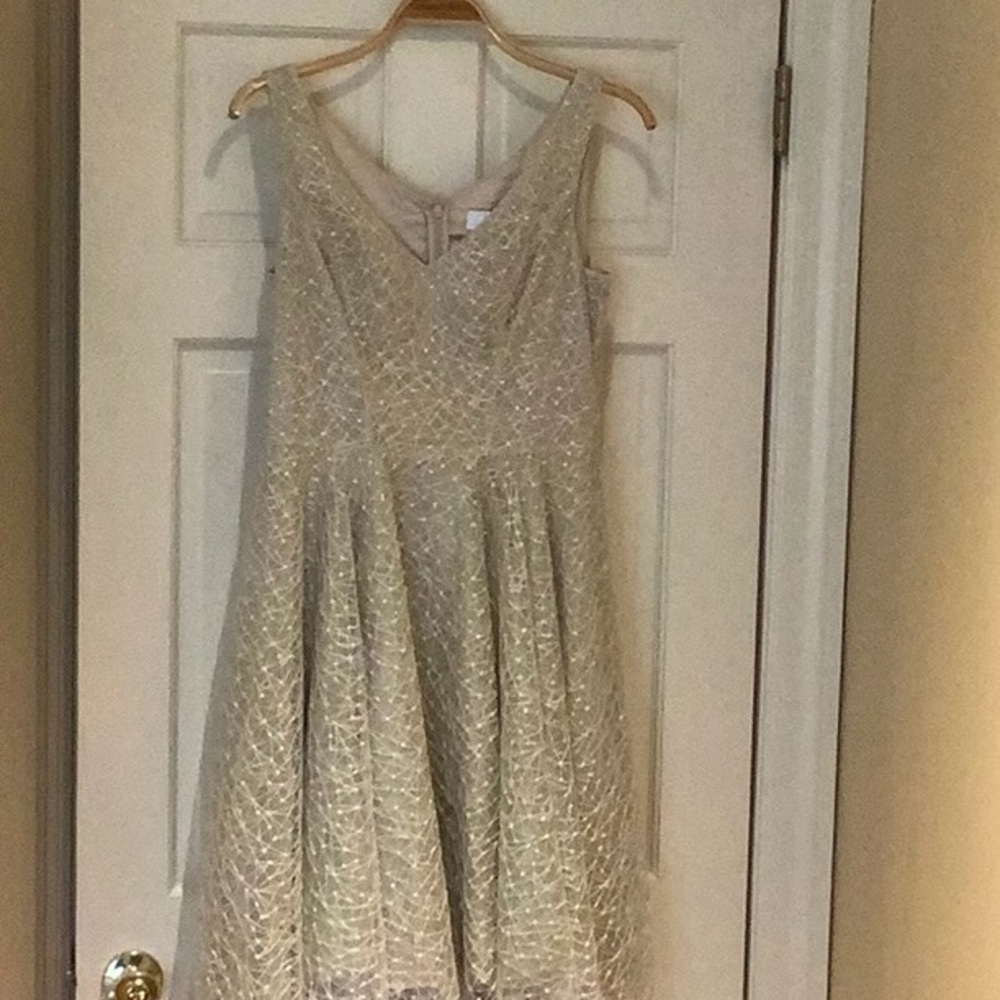 Badgley Mischka Belle collection dress